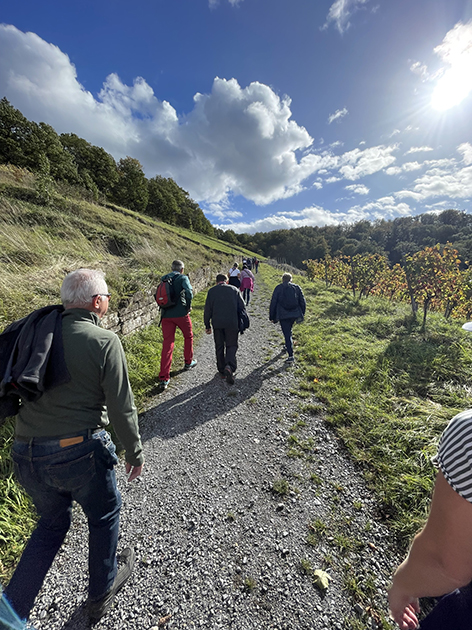 231023 Herbstwanderung RAD MS