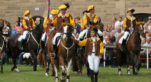 Reiten